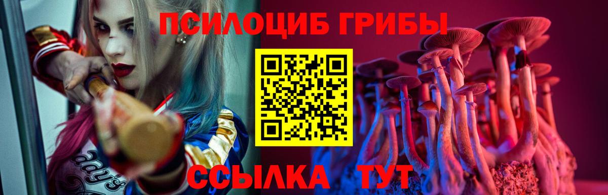 Псилоцибиновые грибы GOLDEN TEACHER Долгопрудный